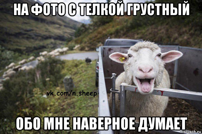 на фото с телкой грустный обо мне наверное думает