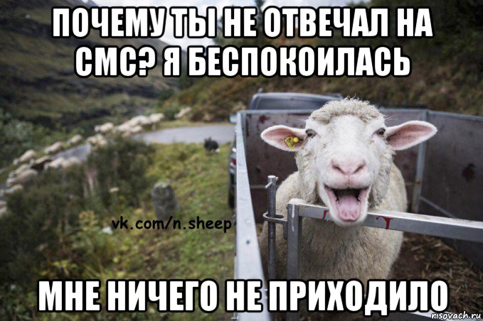почему ты не отвечал на смс? я беспокоилась мне ничего не приходило