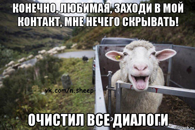 конечно, любимая, заходи в мой контакт, мне нечего скрывать! очистил все диалоги