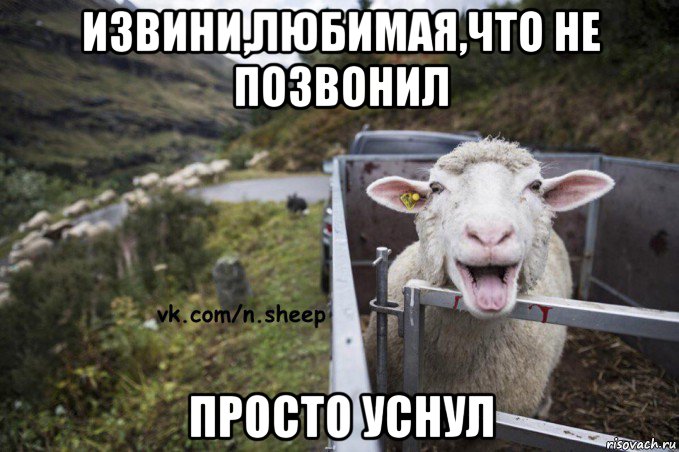 извини,любимая,что не позвонил просто уснул