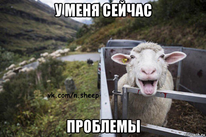 у меня сейчас проблемы