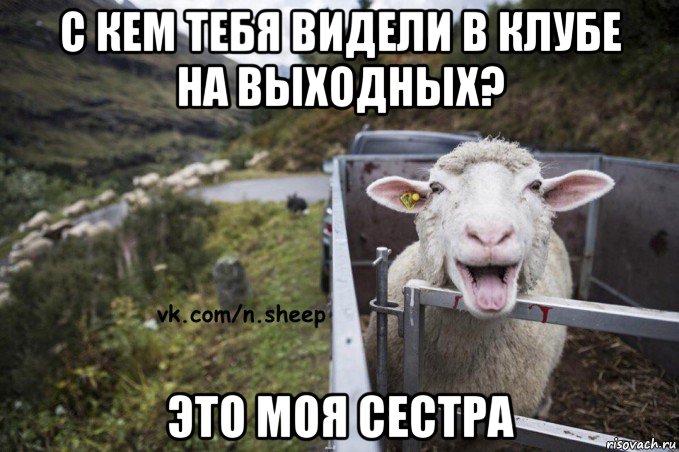 с кем тебя видели в клубе на выходных? это моя сестра