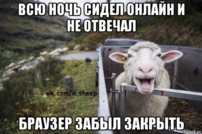 всю ночь сидел онлайн и не отвечал браузер забыл закрыть