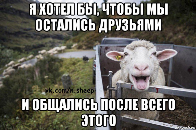 я хотел бы, чтобы мы остались друзьями и общались после всего этого