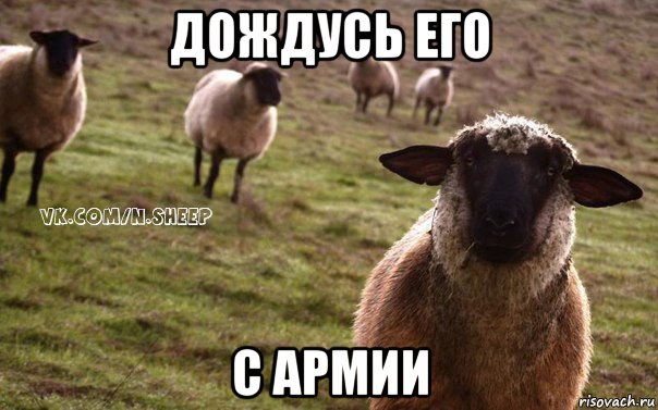 дождусь его с армии