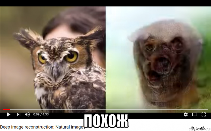  похож, Мем НайденоФотоПидораАдминаПитухАдминКукарекнул