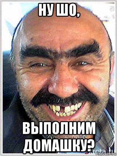 ну шо, выполним домашку?, Мем ну шо пошалим