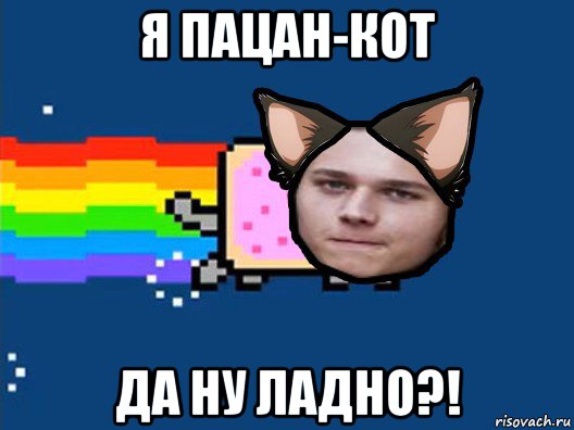 я пацан-кот да ну ладно?!, Мем Нян Кэт в Реальной Жизни