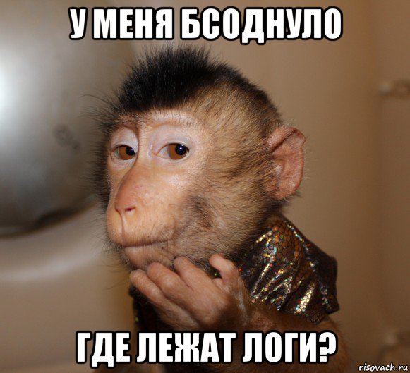у меня бсоднуло где лежат логи?