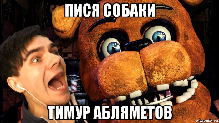 пися собаки тимур абляметов