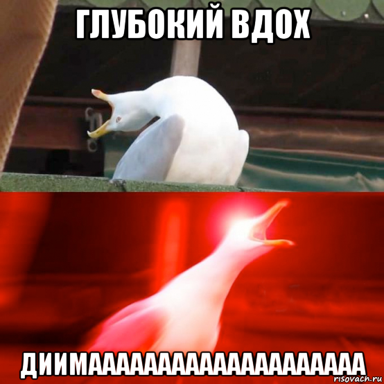 глубокий вдох диимаааааааааааааааааааа