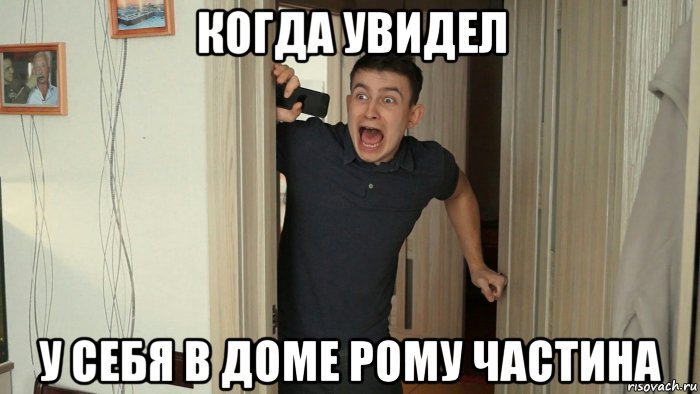 когда увидел у себя в доме рому частина, Мем OneTwo