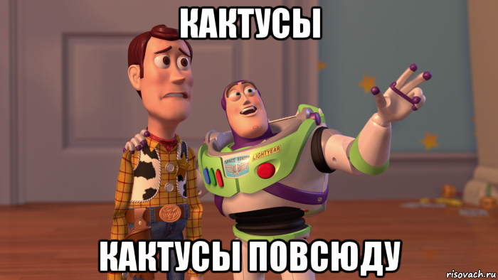 кактусы кактусы повсюду
