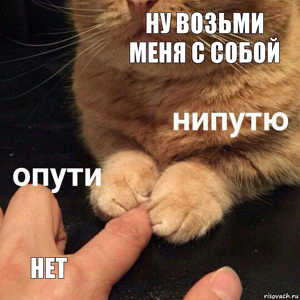 Ну возьми меня с собой Нет