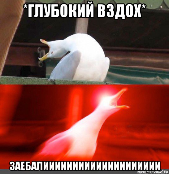 *глубокий вздох* заебалииииииииииииииииииии
