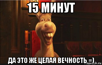 15 минут да это же целая вечность =), Мем Осел из Шрека