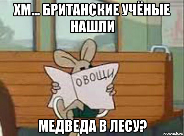 хм... британские учёные нашли медведа в лесу?, Мем Овощи Ну Погоди