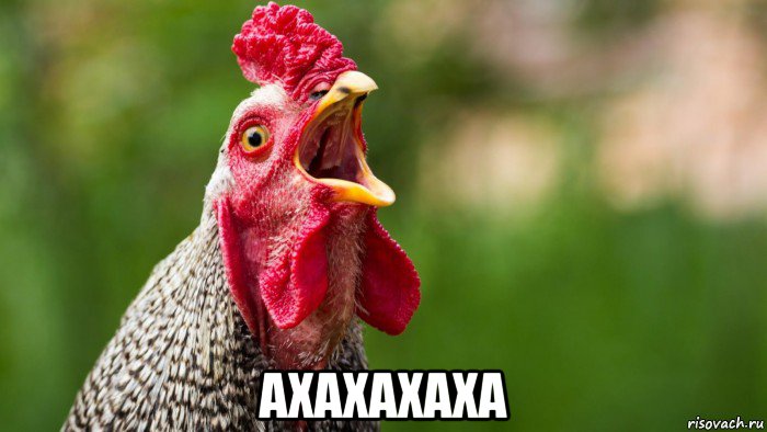  axaxaxaxa