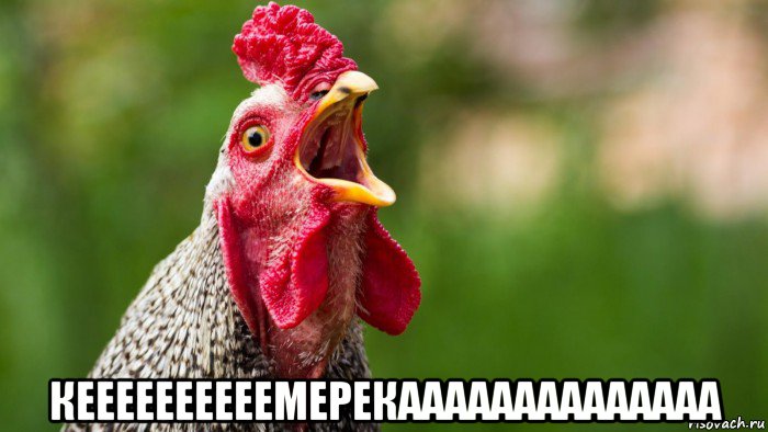  кеееееееееемерекааaaaaaaaaaaaa