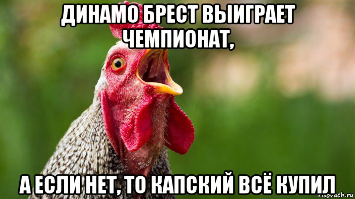 динамо брест выиграет чемпионат, а если нет, то капский всё купил