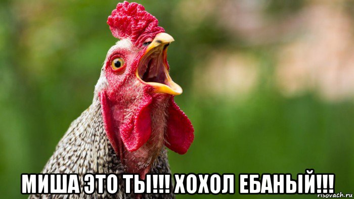  миша это ты!!! хохол ебаный!!!
