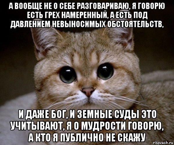 а вообще не о себе разговариваю, я говорю есть грех намеренный, а есть под давлением невыносимых обстоятельств, и даже бог, и земные суды это учитывают, я о мудрости говорю, а кто я публично не скажу