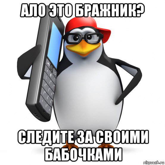 ало это бражник? следите за своими бабочками, Мем   Пингвин звонит