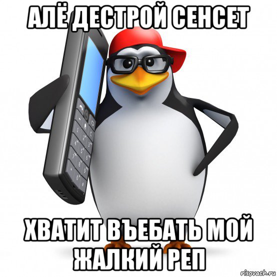 алё дестрой сенсет хватит въебать мой жалкий реп, Мем   Пингвин звонит