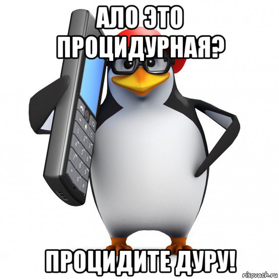 ало это процидурная? процидите дуру!, Мем   Пингвин звонит