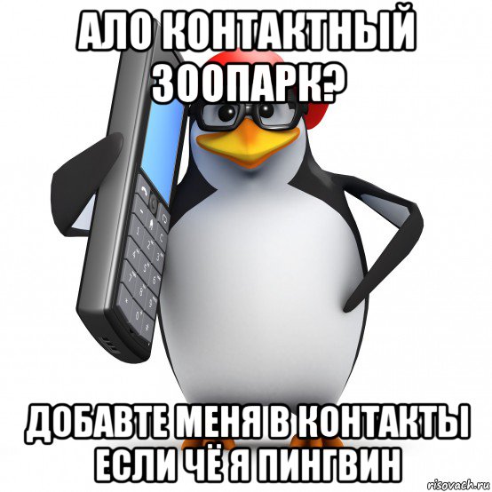 ало контактный зоопарк? добавте меня в контакты если чё я пингвин, Мем   Пингвин звонит