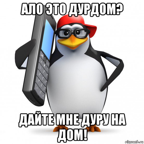 ало это дурдом? дайте мне дуру на дом!, Мем   Пингвин звонит