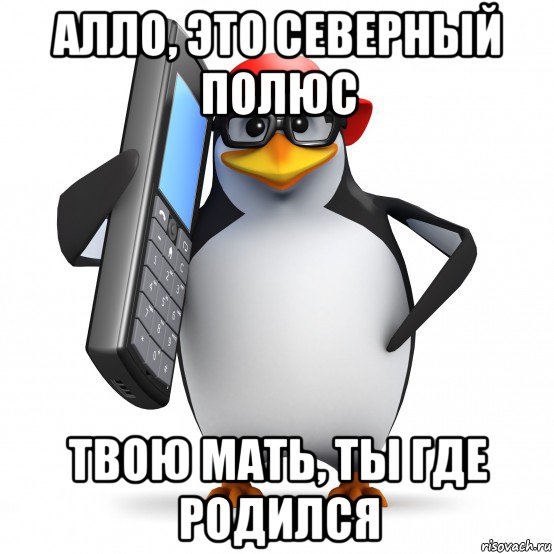 алло, это северный полюс твою мать, ты где родился, Мем   Пингвин звонит