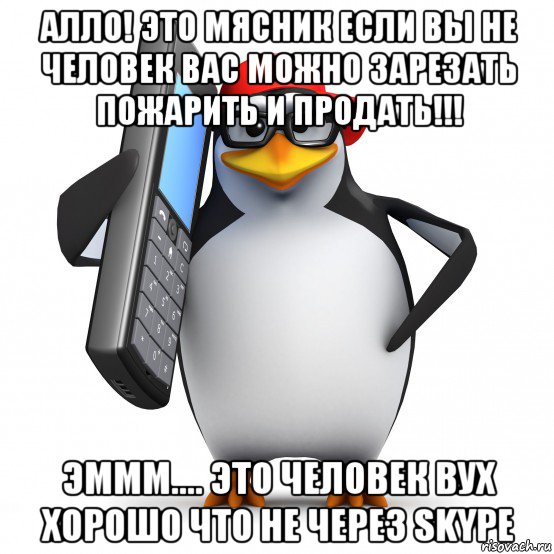 алло! это мясник если вы не человек вас можно зарезать пожарить и продать!!! эммм.... это человек вух хорошо что не через skype, Мем   Пингвин звонит