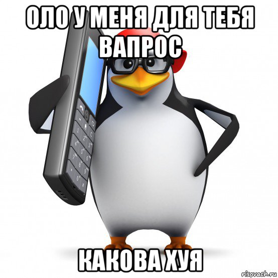 оло у меня для тебя вапрос какова хуя, Мем   Пингвин звонит