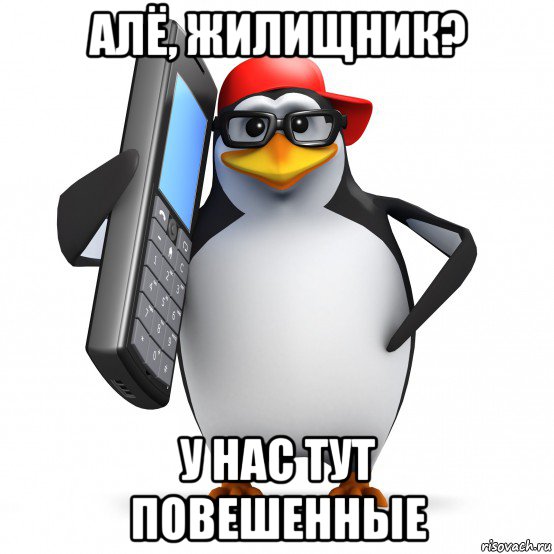 алё, жилищник? у нас тут повешенные, Мем   Пингвин звонит