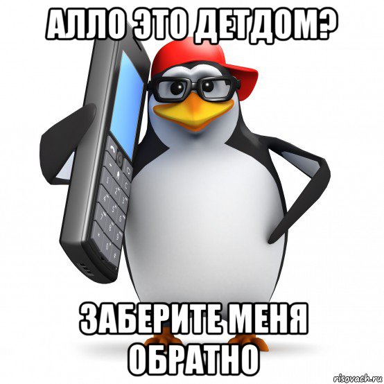 алло это детдом? заберите меня обратно, Мем   Пингвин звонит