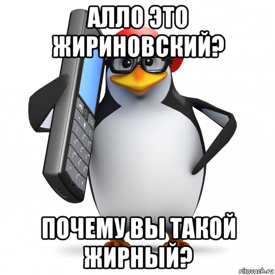 алло это жириновский? почему вы такой жирный?, Мем   Пингвин звонит