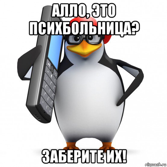 алло, это психбольница? заберите их!, Мем   Пингвин звонит