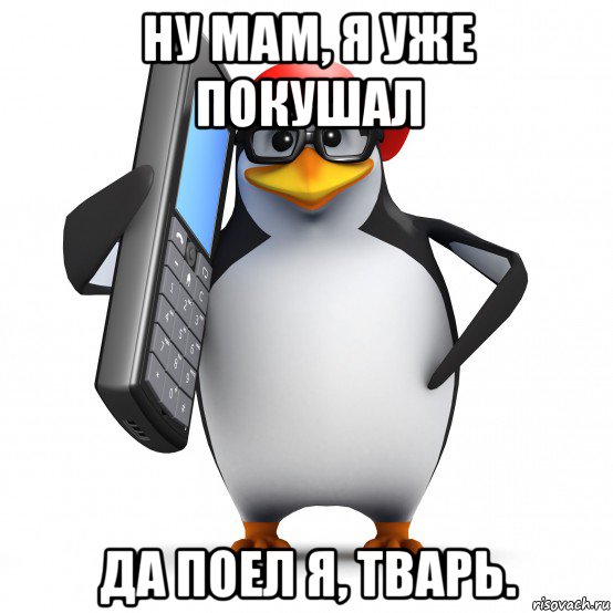 ну мам, я уже покушал да поел я, тварь., Мем   Пингвин звонит