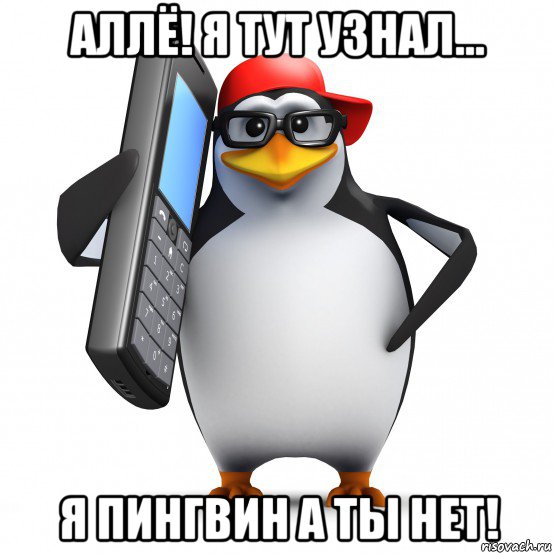 аллё! я тут узнал... я пингвин а ты нет!, Мем   Пингвин звонит