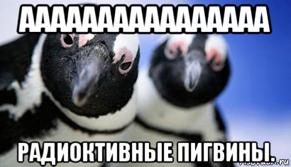 аааааааааааааааа радиоктивные пигвины.