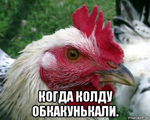  когда колду обкакунькали.