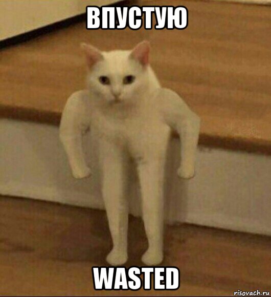 впустую wasted, Мем  Полукот