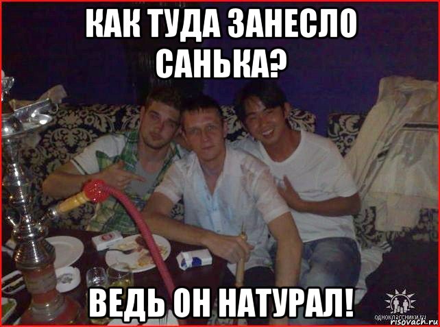 как туда занесло санька? ведь он натурал!, Мем Праздник