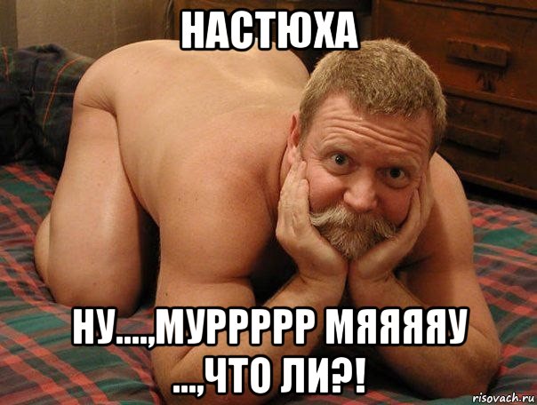 настюха ну....,муррррр мяяяяу ...,что ли?!, Мем прив че делаешь