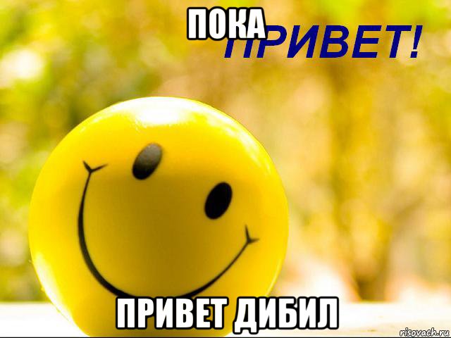 пока привет дибил, Мем Привет