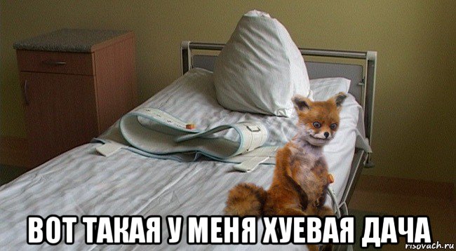  вот такая у меня хуевая дача