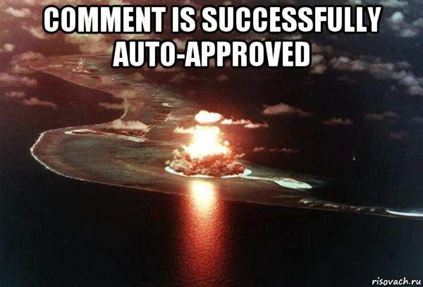 comment is successfully auto-approved 