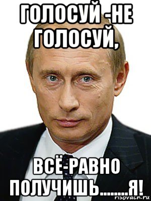 голосуй -не голосуй, всё-равно получишь........я!, Мем Путин