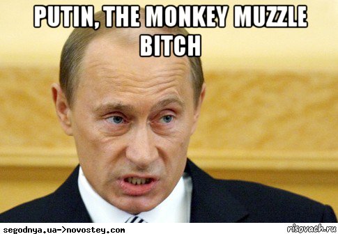 putin, the monkey muzzle bitch 